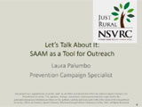 SAAM as a tool for Outreach - Thumbnail Image