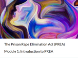 prison rape elimination act